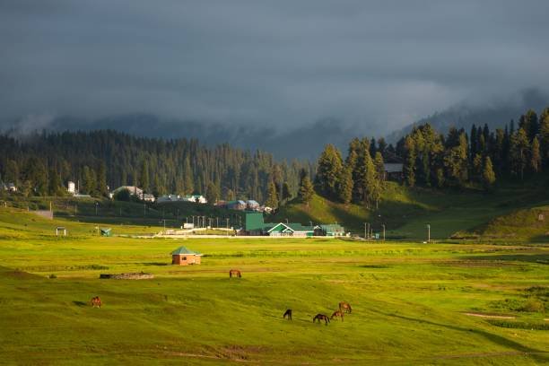 Paradise of Kashmir with Inderprasth Tour and Travels Katra